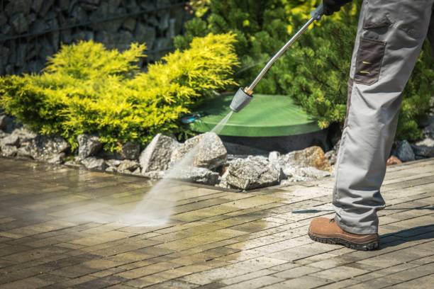Best Roof Washing  in Gulf Breeze, FL